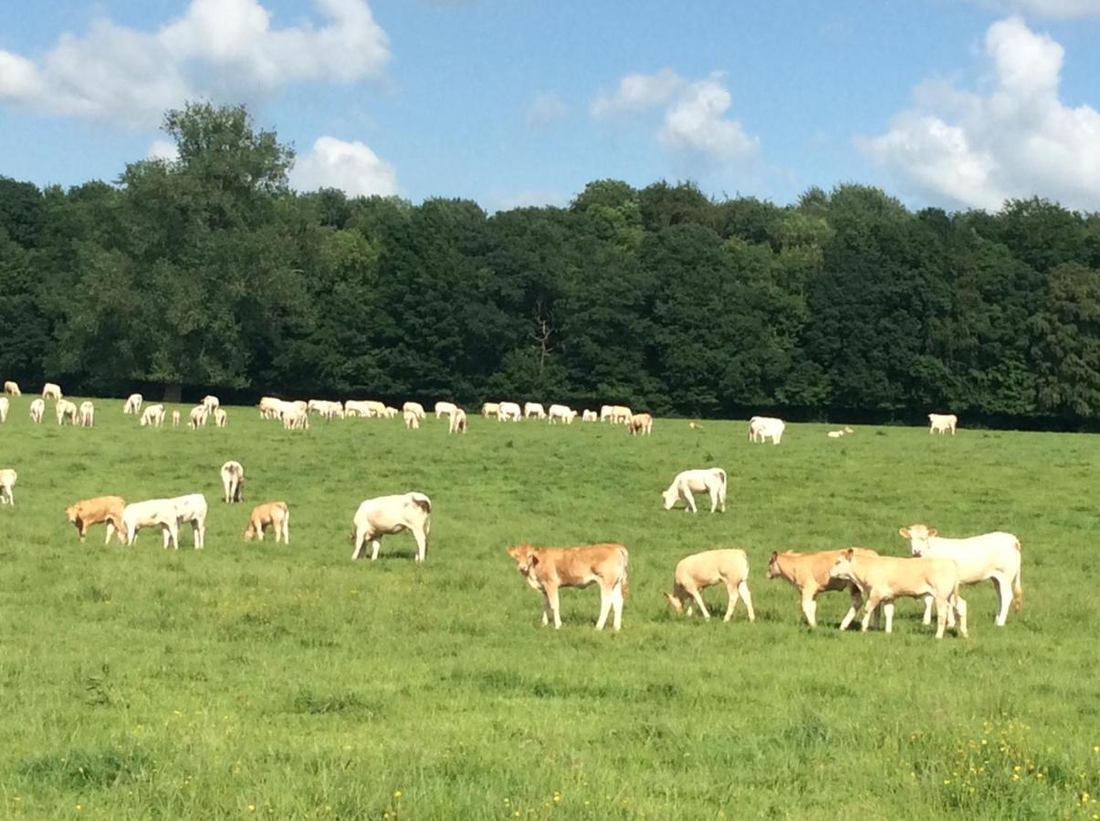 Aux Bois Dores De La Ferme De Sorval, Animaux De La Ferme, Fitness Selvigny Buitenkant foto