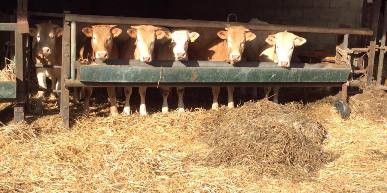 Aux Bois Dores De La Ferme De Sorval, Animaux De La Ferme, Fitness Selvigny Buitenkant foto