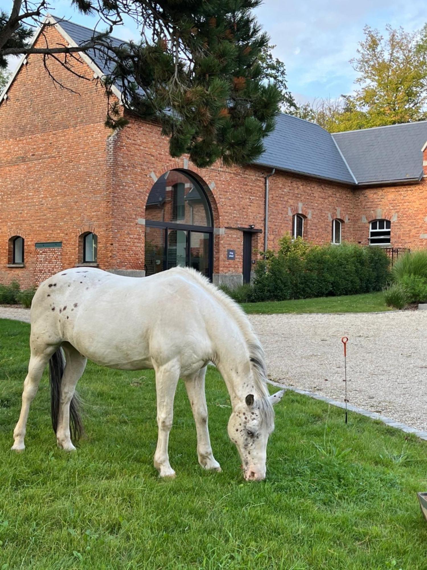 Aux Bois Dores De La Ferme De Sorval, Animaux De La Ferme, Fitness Selvigny Buitenkant foto